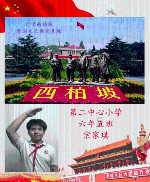 加勒比巡航